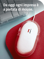 Mouse ri