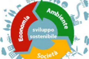 Sviluppo impresa