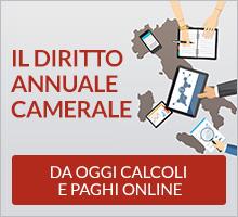 Diritto annuale Diritto Annuale