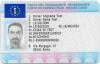 immagine carta conducente